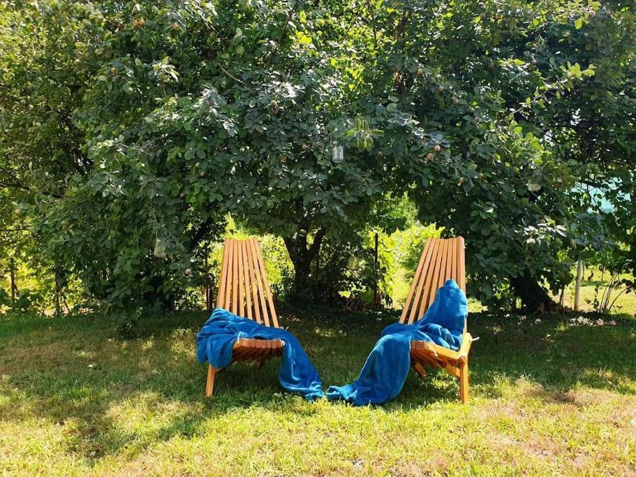Kuca Za Odmor Villa Cesarica - Zagreb Graberje Ivanićko Екстериор снимка